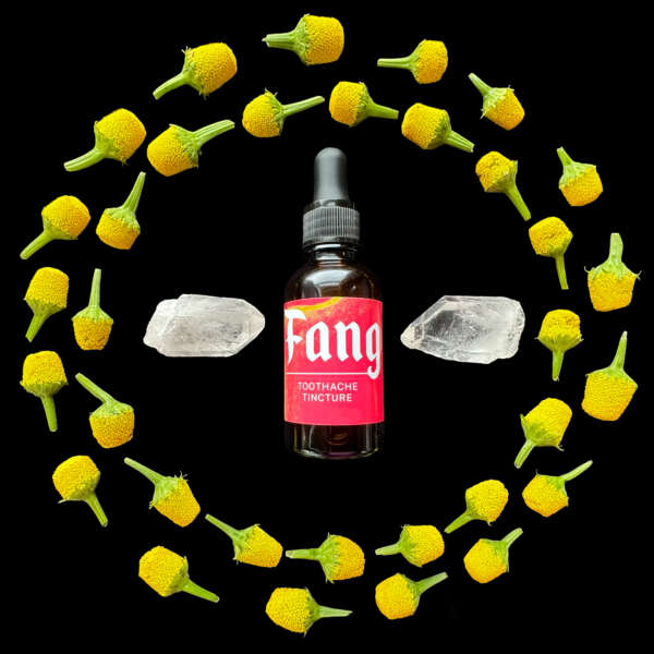 Fang Alcohol Tincture